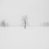 Vervroegde sluiting school vanwege weersomstandigheden
